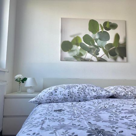 80M2 Apartment With Balcony & Free Netflix Viyana Dış mekan fotoğraf